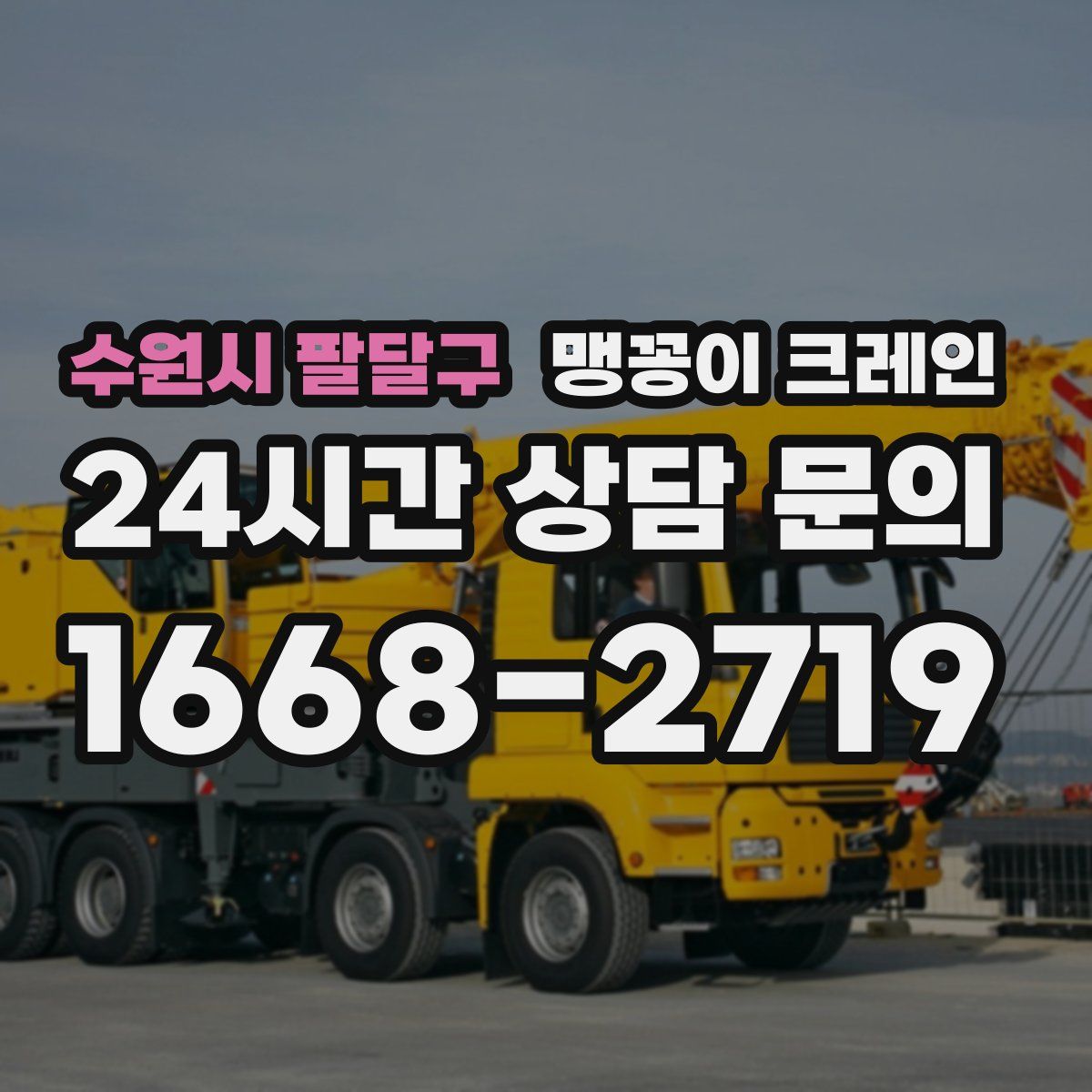 수원시 팔달구 맹꽁이 크레인