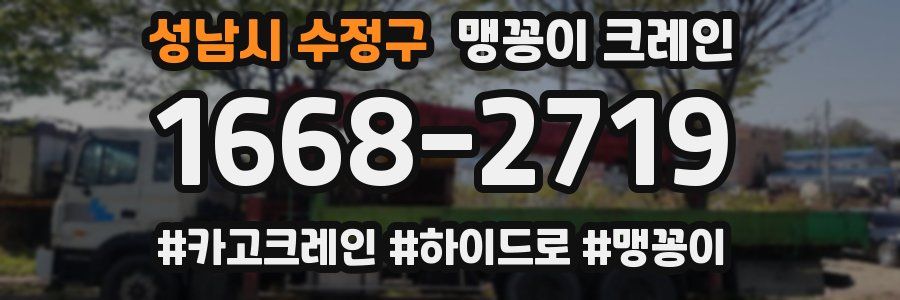 성남시 수정구 맹꽁이 크레인