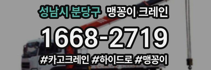 성남시 분당구 맹꽁이 크레인