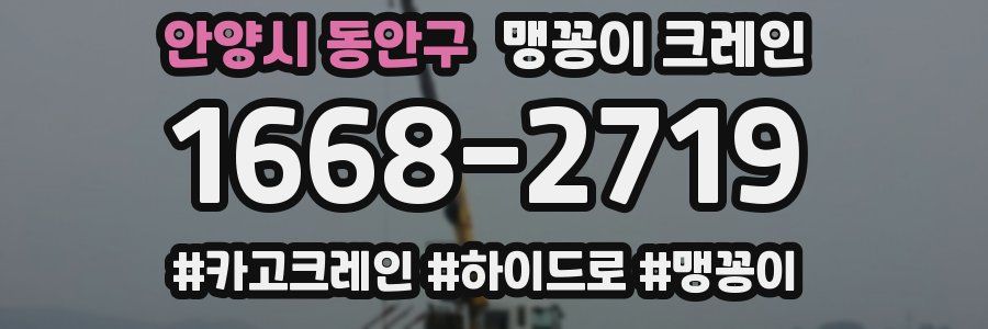 안양시 동안구 맹꽁이 크레인