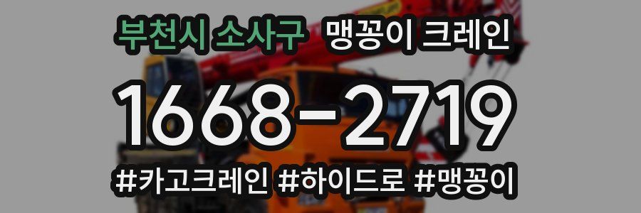 부천시 소사구 맹꽁이 크레인