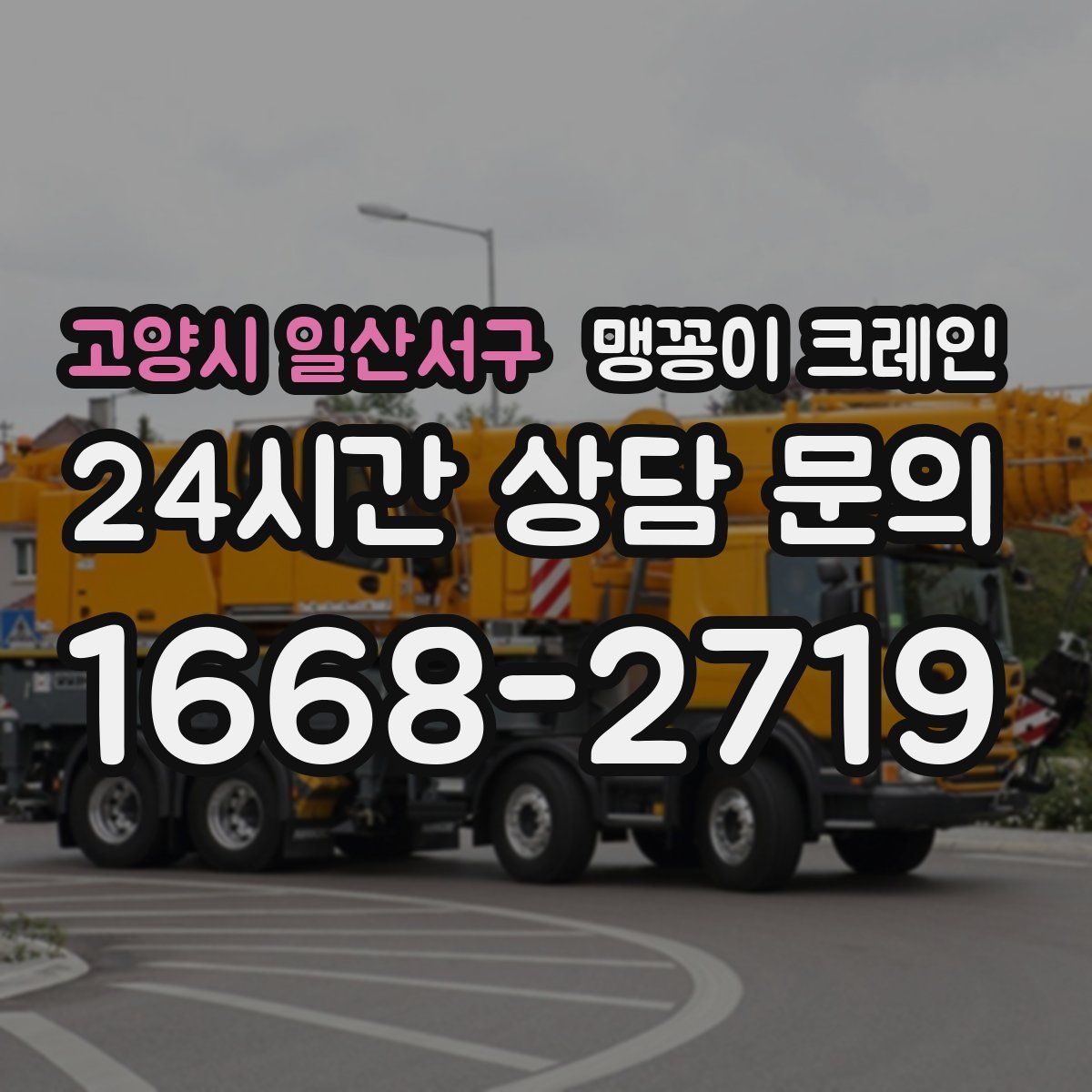 고양시 일산서구 맹꽁이 크레인