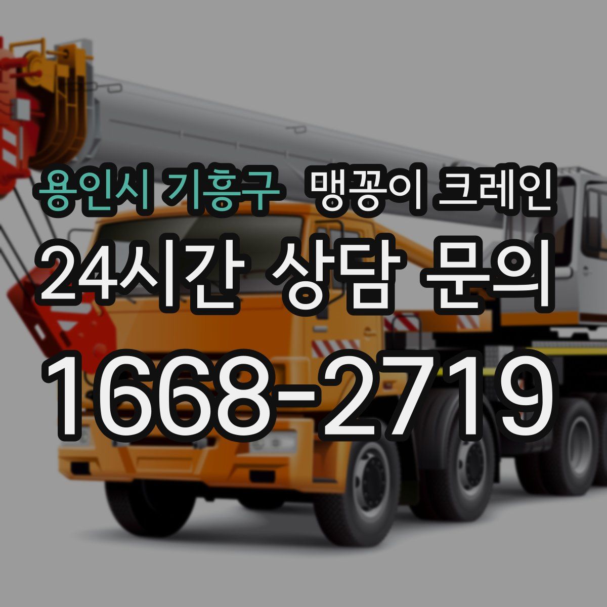 용인시 기흥구 맹꽁이 크레인