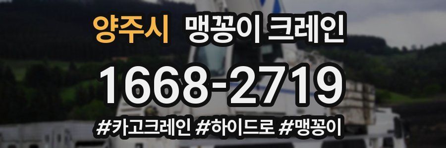 양주시 맹꽁이 크레인