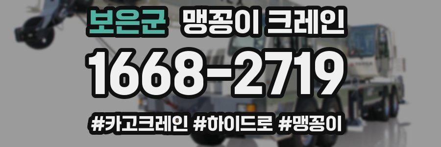보은군 맹꽁이 크레인