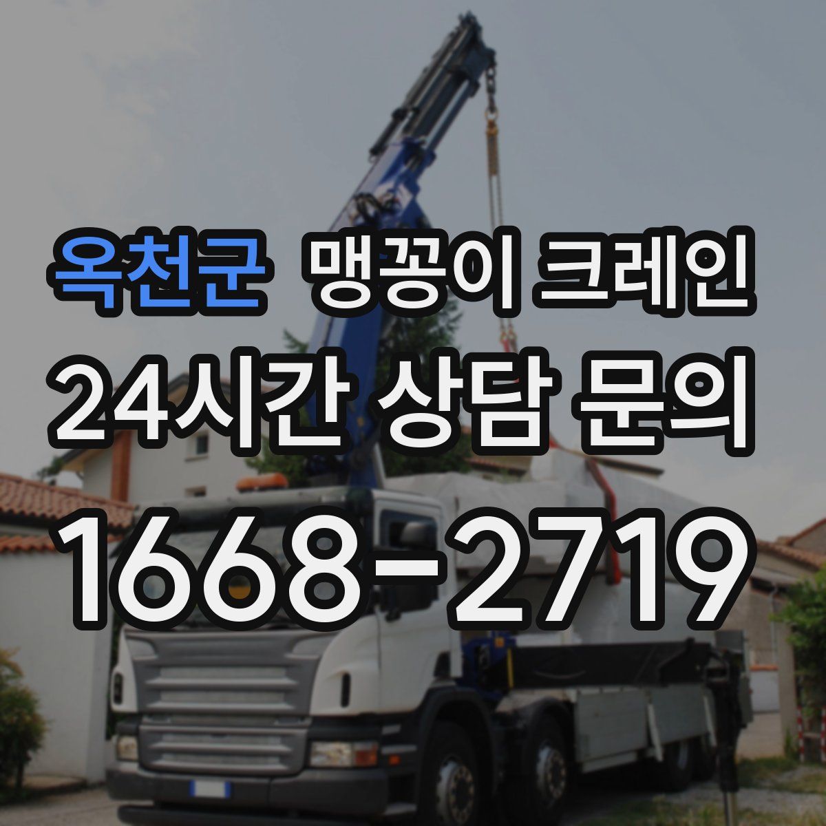 옥천군 맹꽁이 크레인