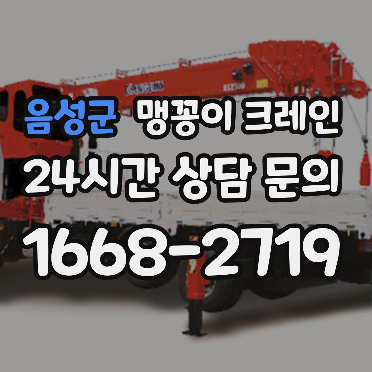 음성군 맹꽁이 크레인