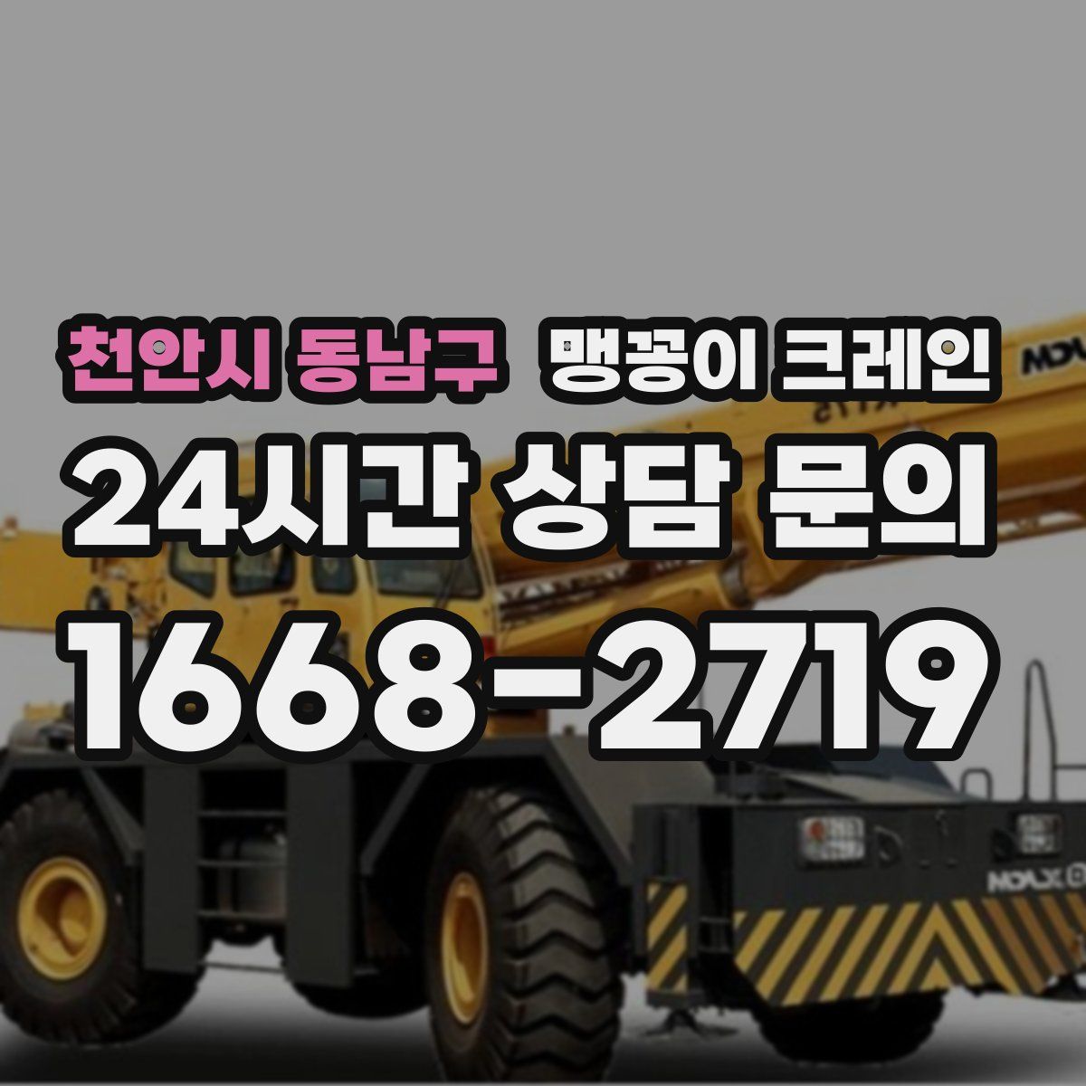 천안시 동남구 맹꽁이 크레인