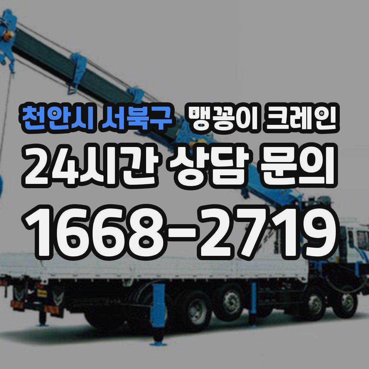 천안시 서북구 맹꽁이 크레인