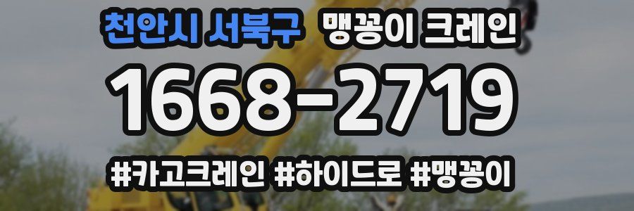 천안시 서북구 맹꽁이 크레인