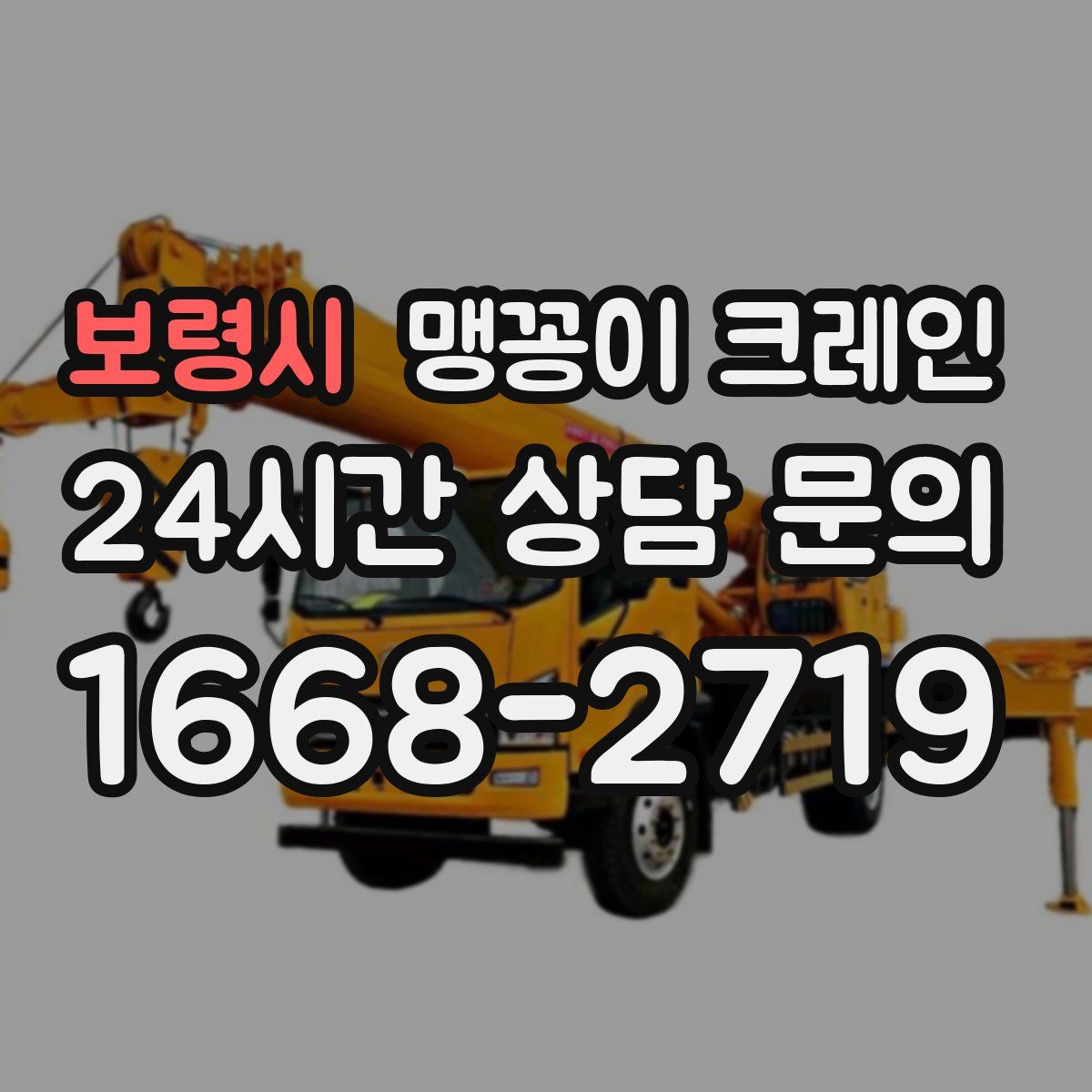 보령시 맹꽁이 크레인