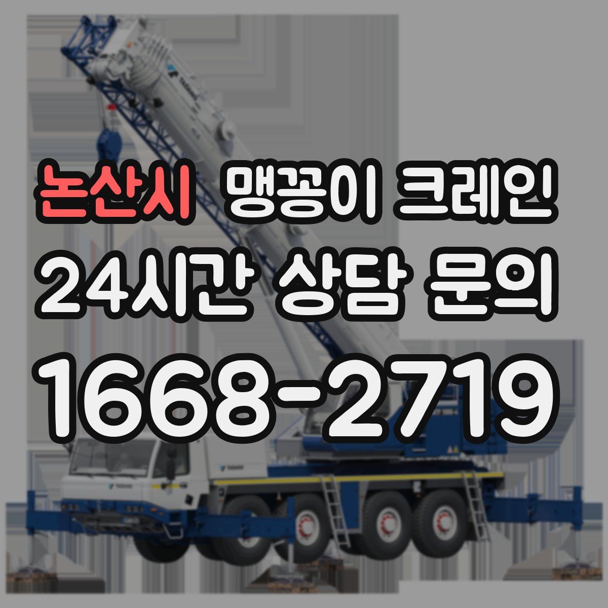 논산시 맹꽁이 크레인