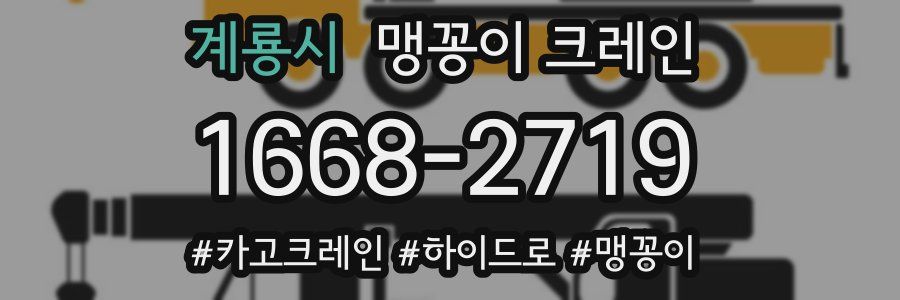 계룡시 맹꽁이 크레인