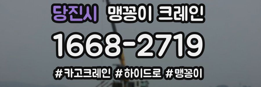 당진시 맹꽁이 크레인