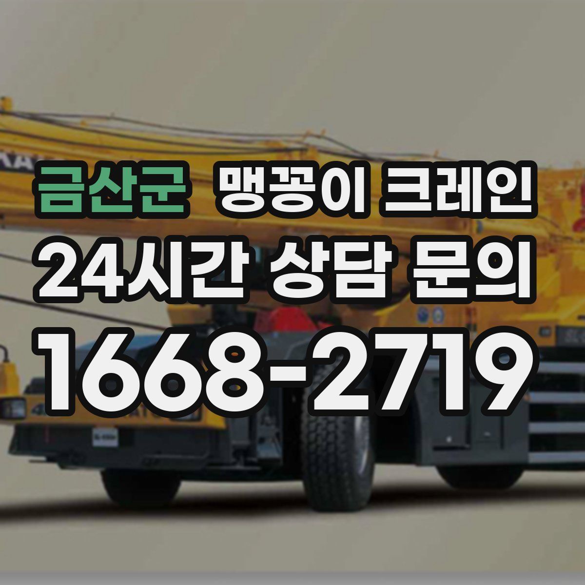 금산군 맹꽁이 크레인