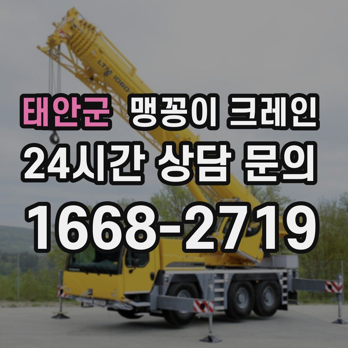 태안군 맹꽁이 크레인