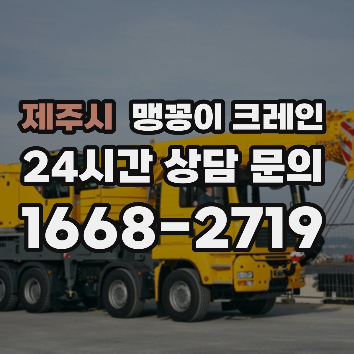 제주시 맹꽁이 크레인