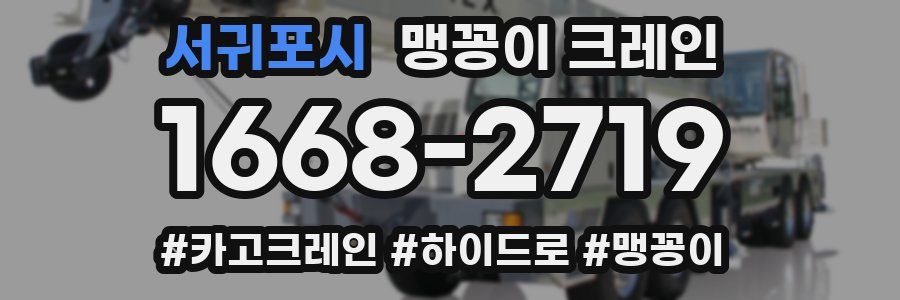 서귀포시 맹꽁이 크레인