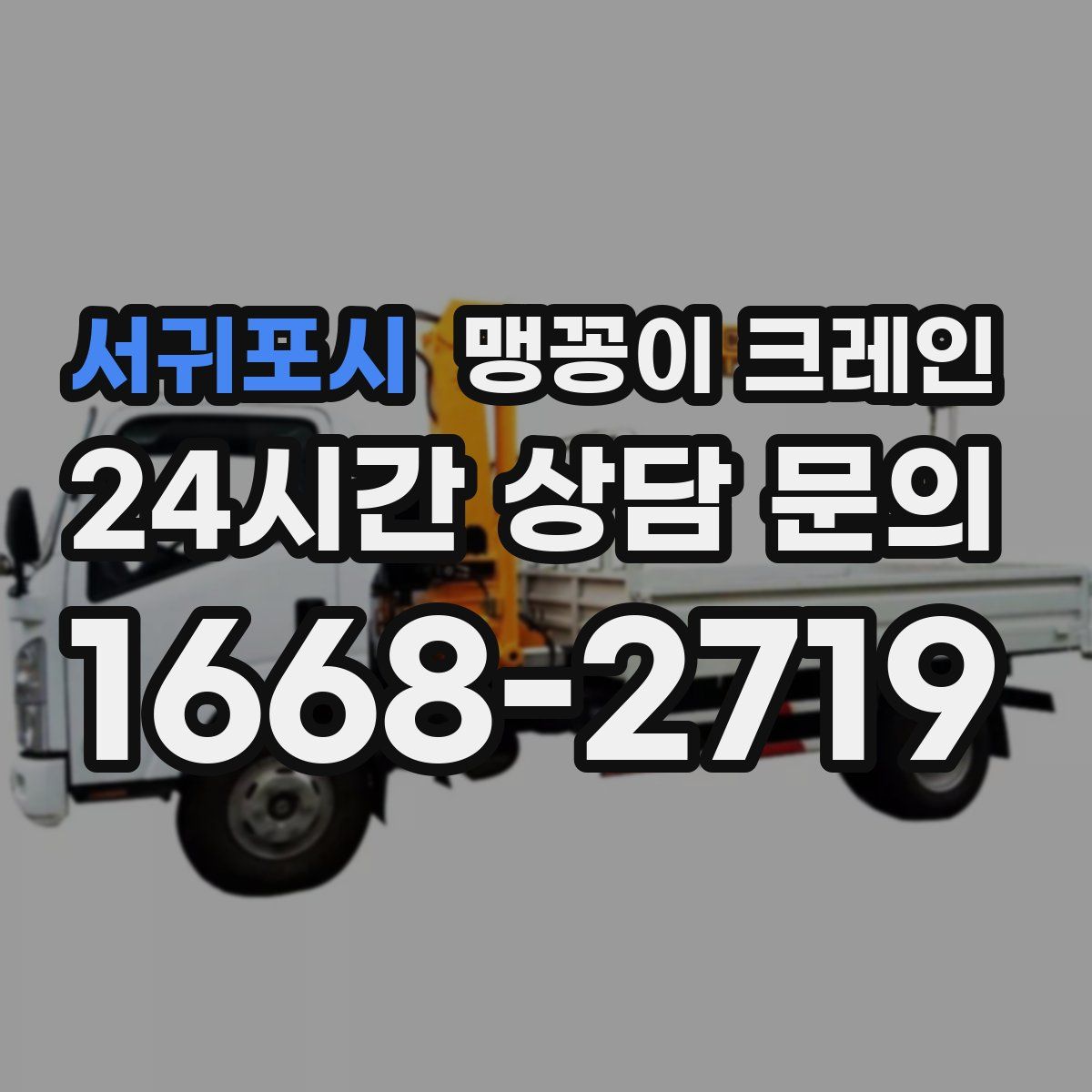 서귀포시 맹꽁이 크레인