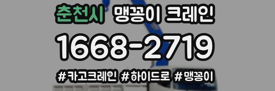 춘천시 맹꽁이 크레인