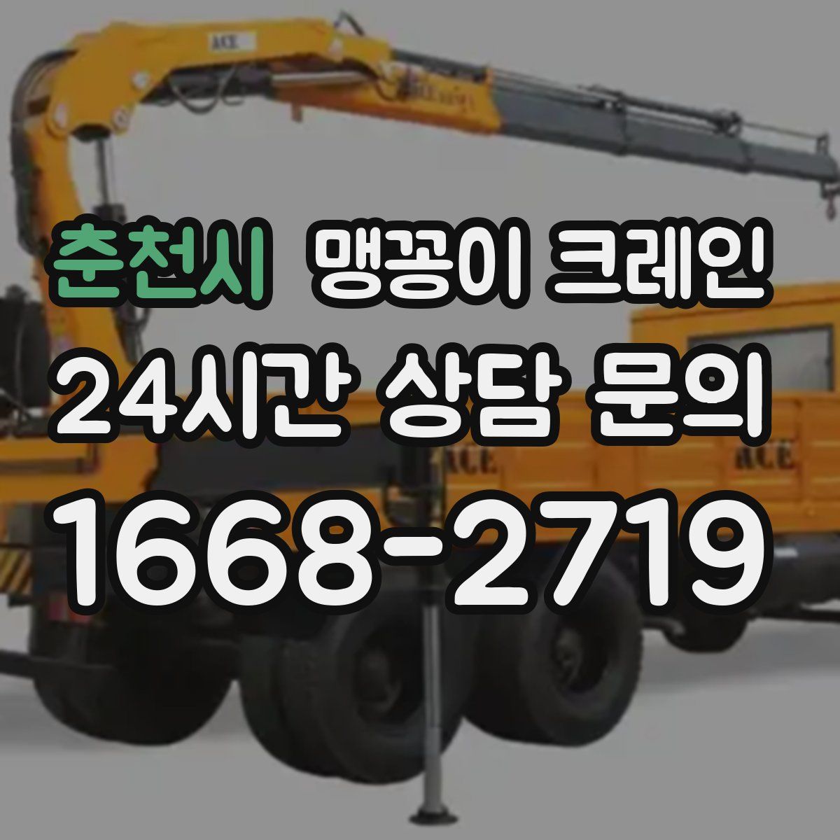 춘천시 맹꽁이 크레인