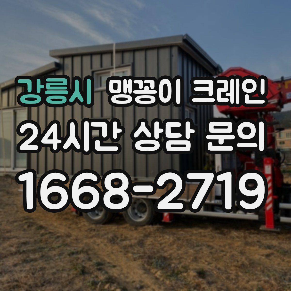 강릉시 맹꽁이 크레인