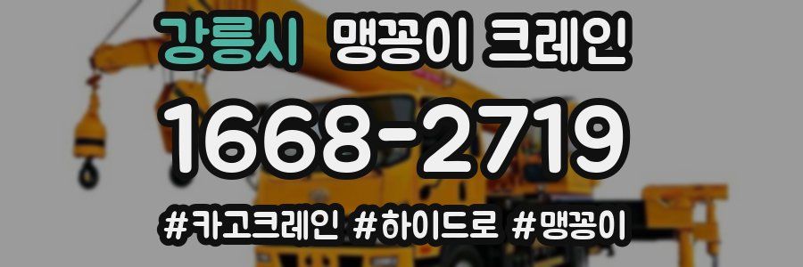 강릉시 맹꽁이 크레인