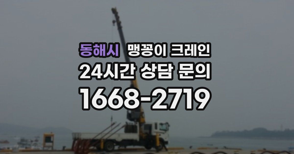 동해시 맹꽁이 크레인