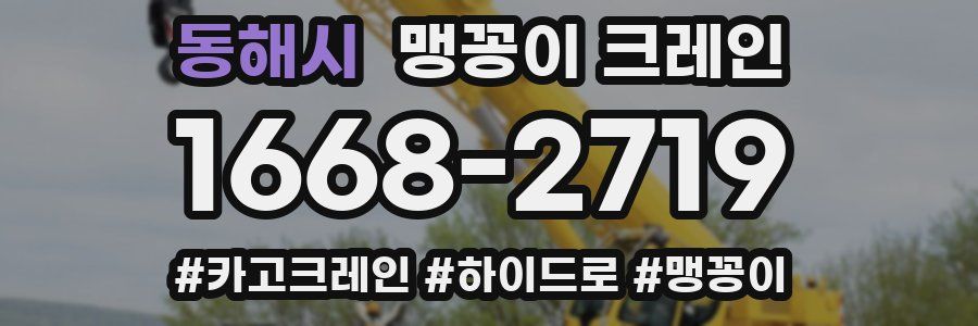 동해시 맹꽁이 크레인
