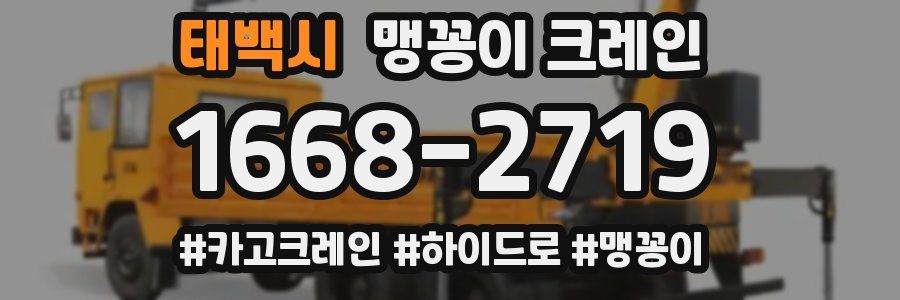 태백시 맹꽁이 크레인