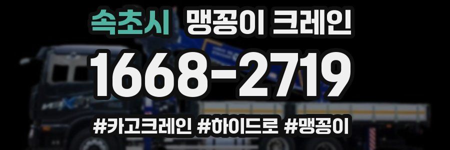 속초시 맹꽁이 크레인