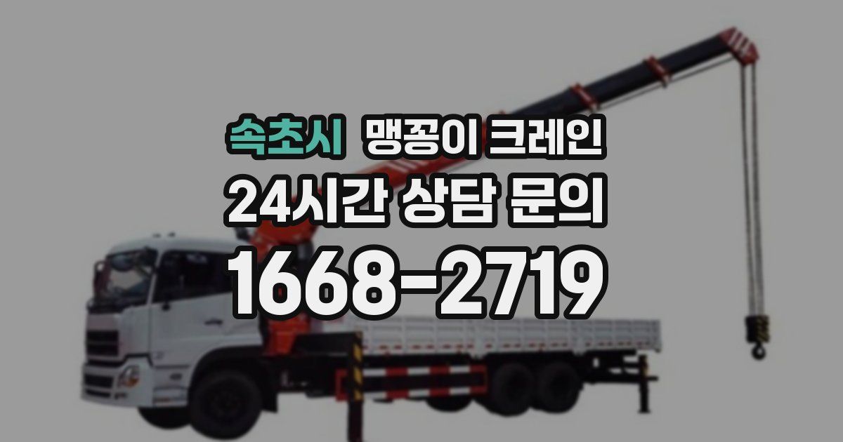 속초시 맹꽁이 크레인