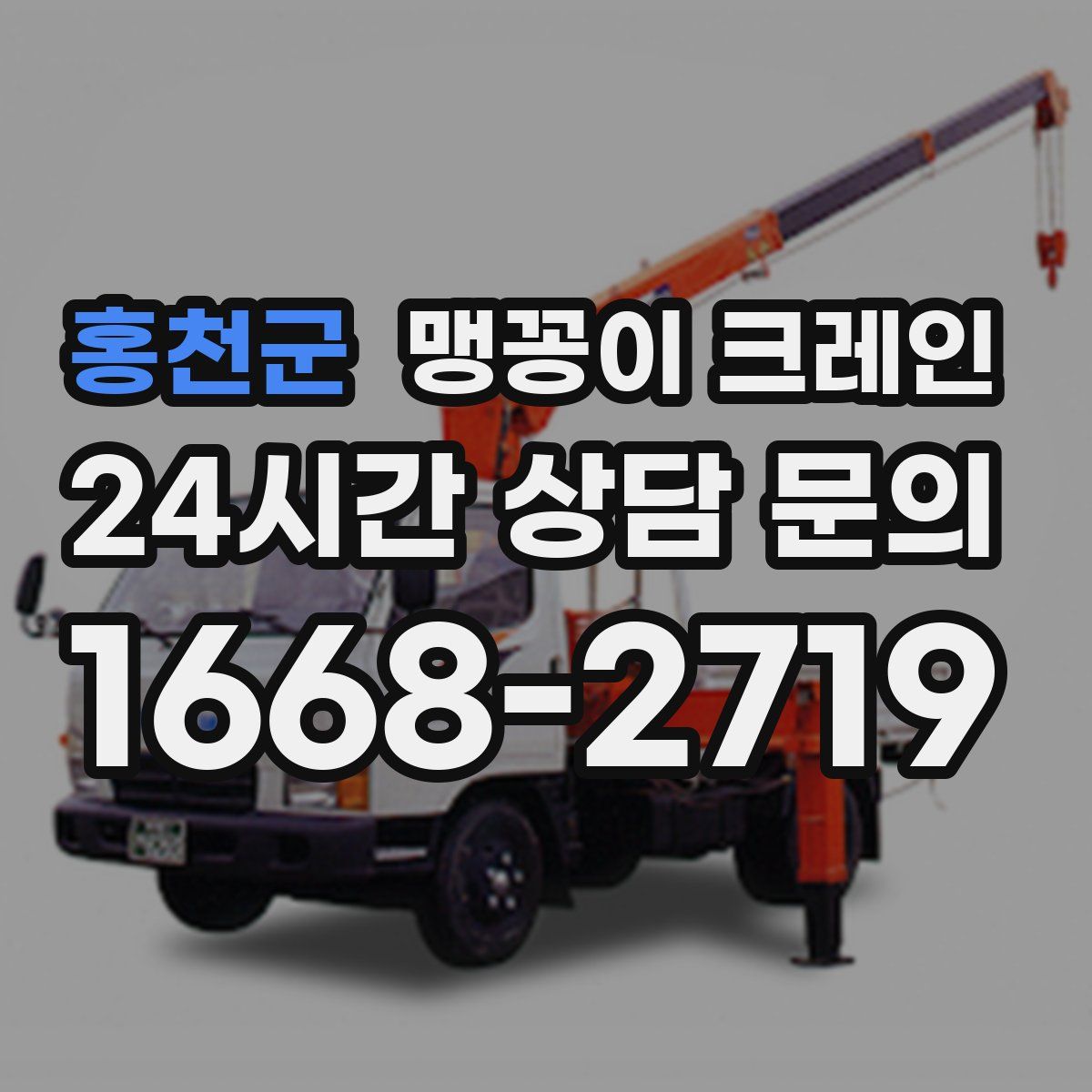 홍천군 맹꽁이 크레인