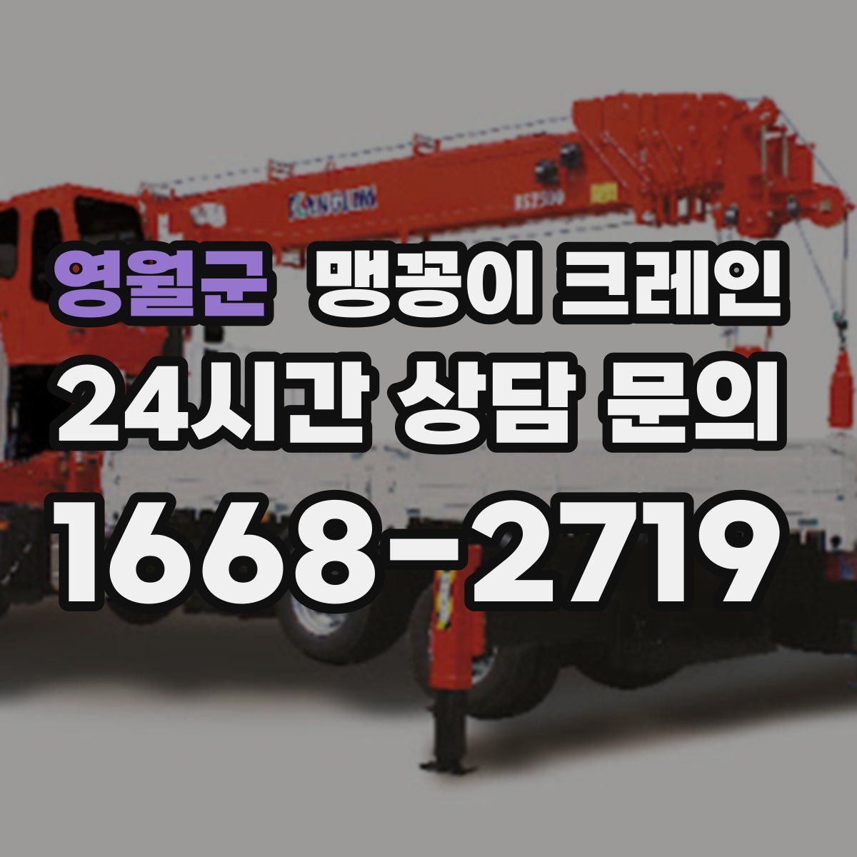 영월군 맹꽁이 크레인