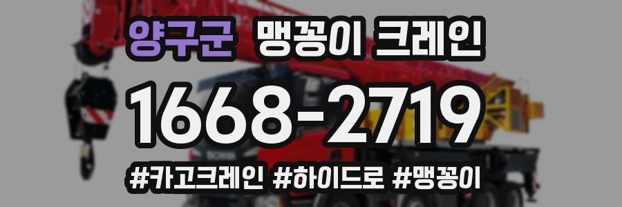 양구군 맹꽁이 크레인