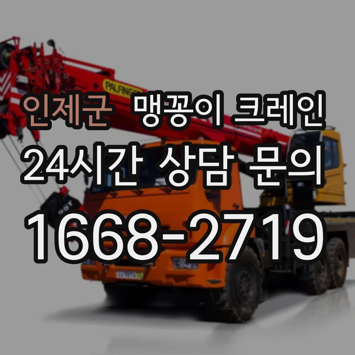 인제군 맹꽁이 크레인