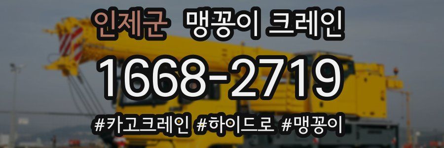 인제군 맹꽁이 크레인