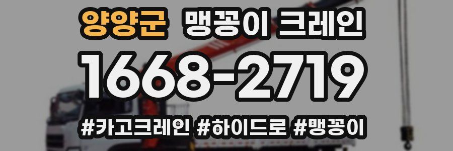 양양군 맹꽁이 크레인