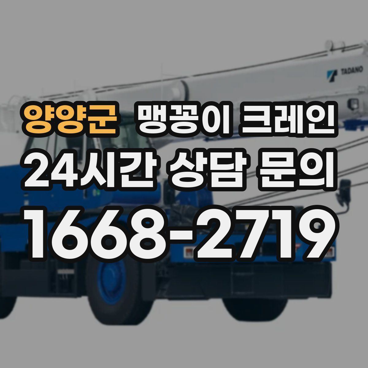 양양군 맹꽁이 크레인