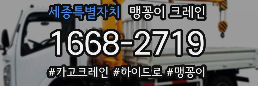 세종특별자치 맹꽁이 크레인