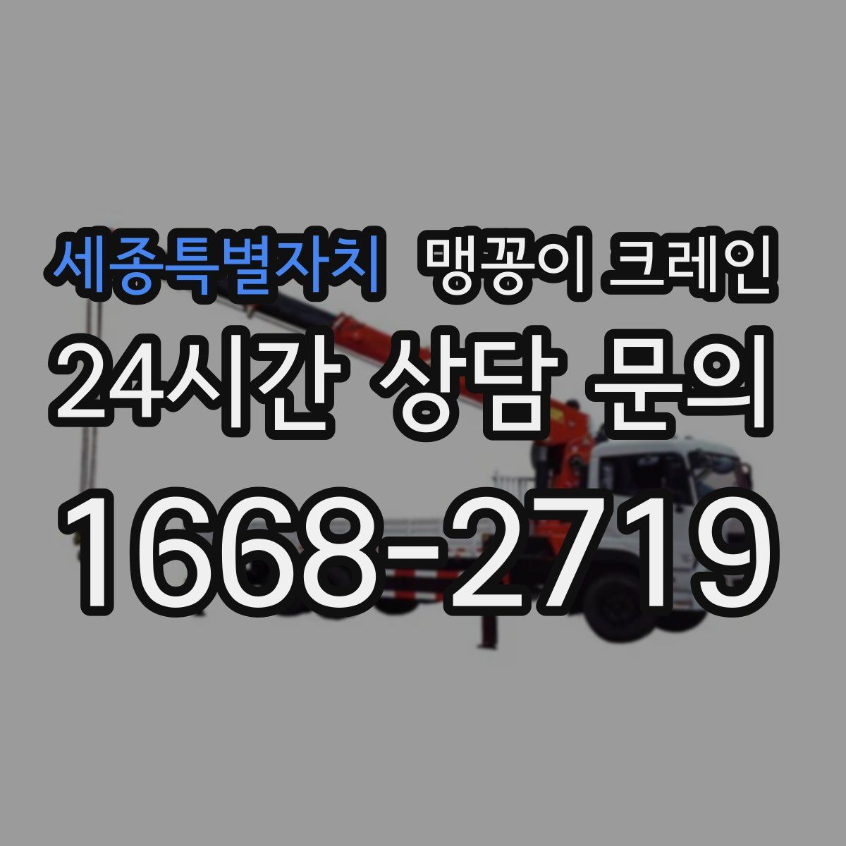 세종특별자치 맹꽁이 크레인