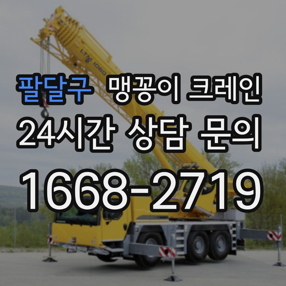 팔달구 맹꽁이 크레인