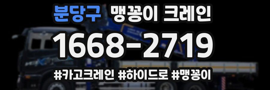 분당구 맹꽁이 크레인