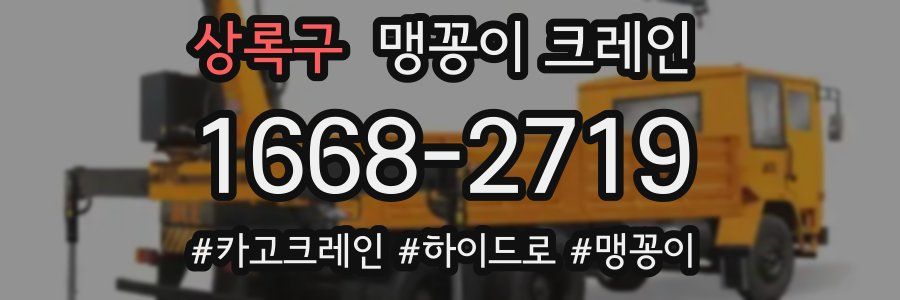 상록구 맹꽁이 크레인
