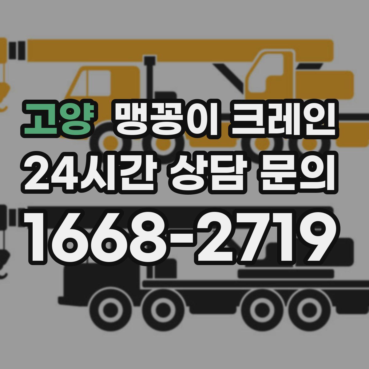 고양 맹꽁이 크레인
