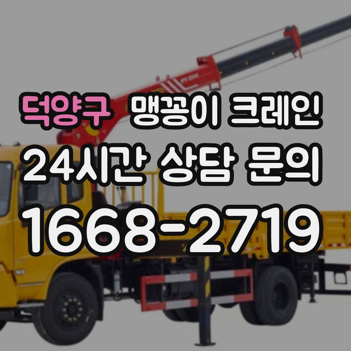 덕양구 맹꽁이 크레인