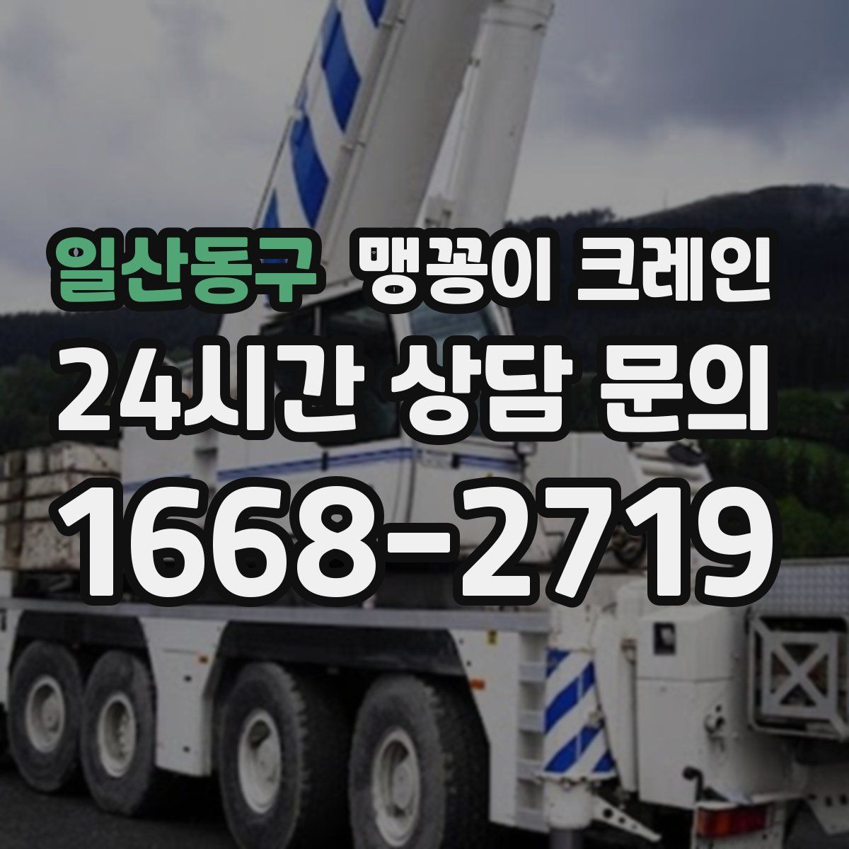 일산동구 맹꽁이 크레인