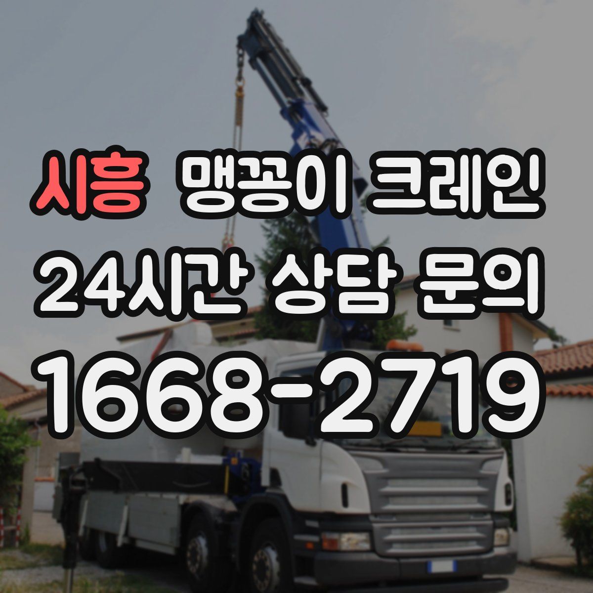 시흥 맹꽁이 크레인