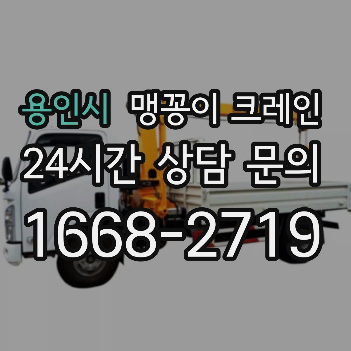 용인시 맹꽁이 크레인
