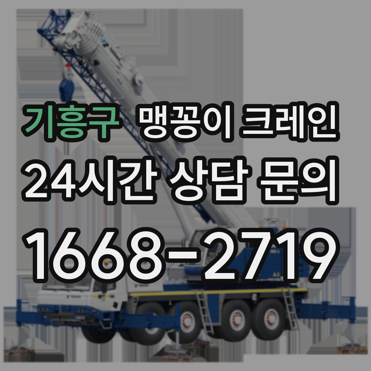 기흥구 맹꽁이 크레인